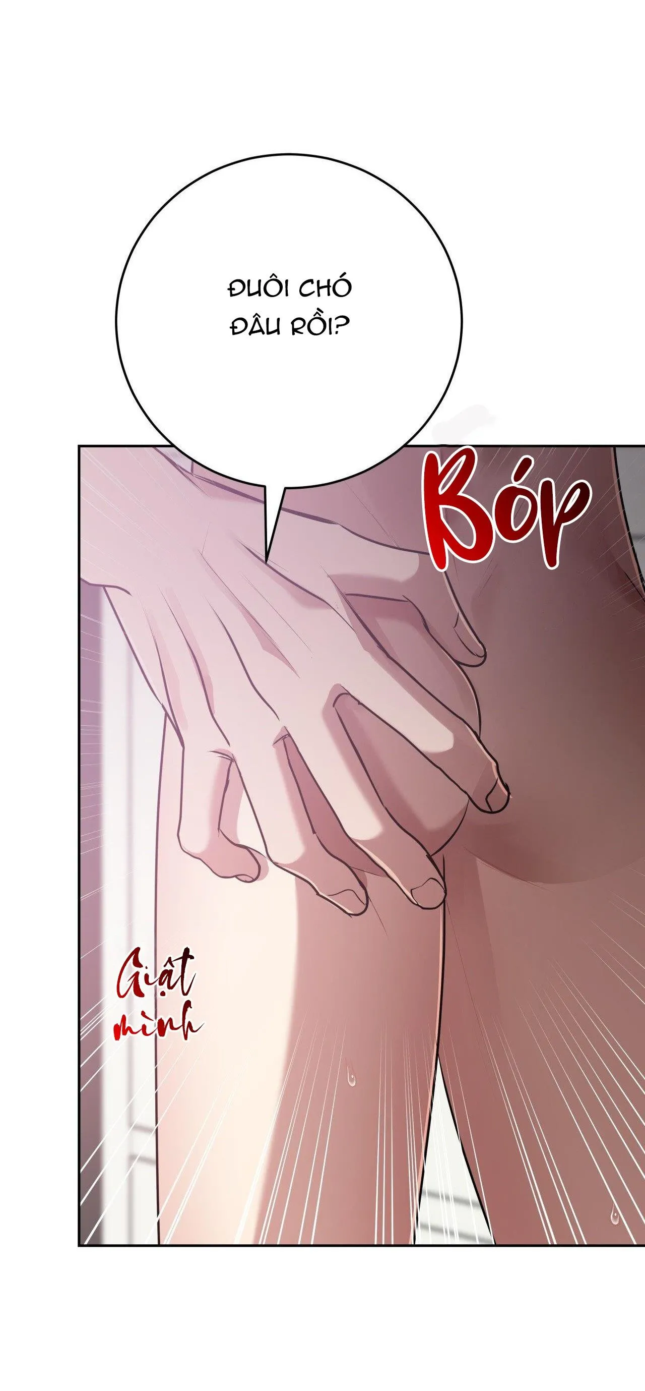 ĐIỀU 260 BỘ LUẬT HÌNH SỰ Chapter 9 Trang 21