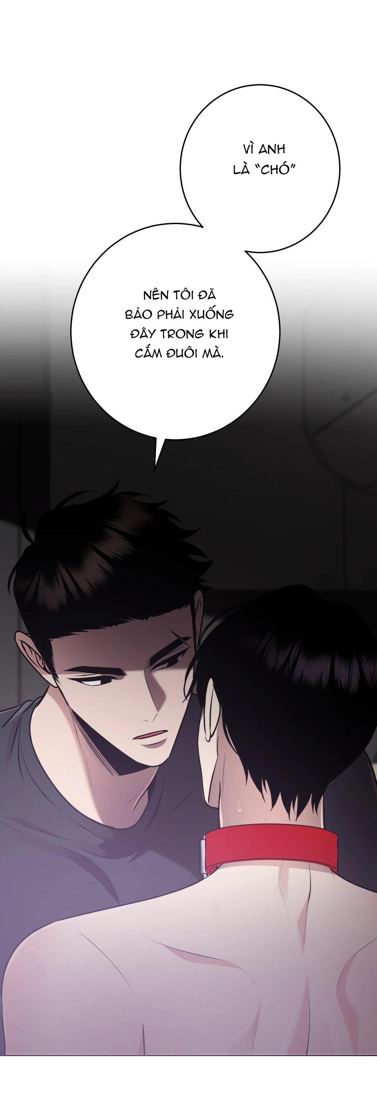 ĐIỀU 260 BỘ LUẬT HÌNH SỰ Chapter 9 Trang 22