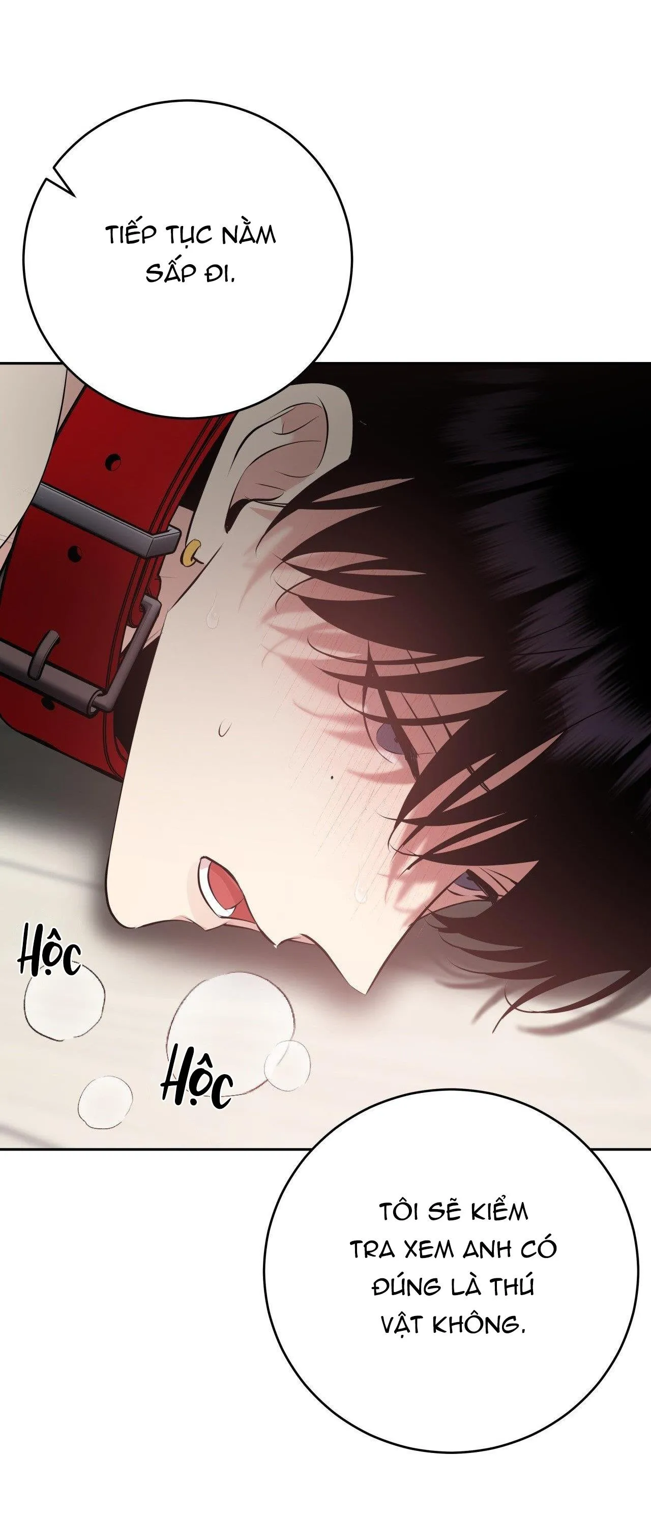 ĐIỀU 260 BỘ LUẬT HÌNH SỰ Chapter 9 Trang 28