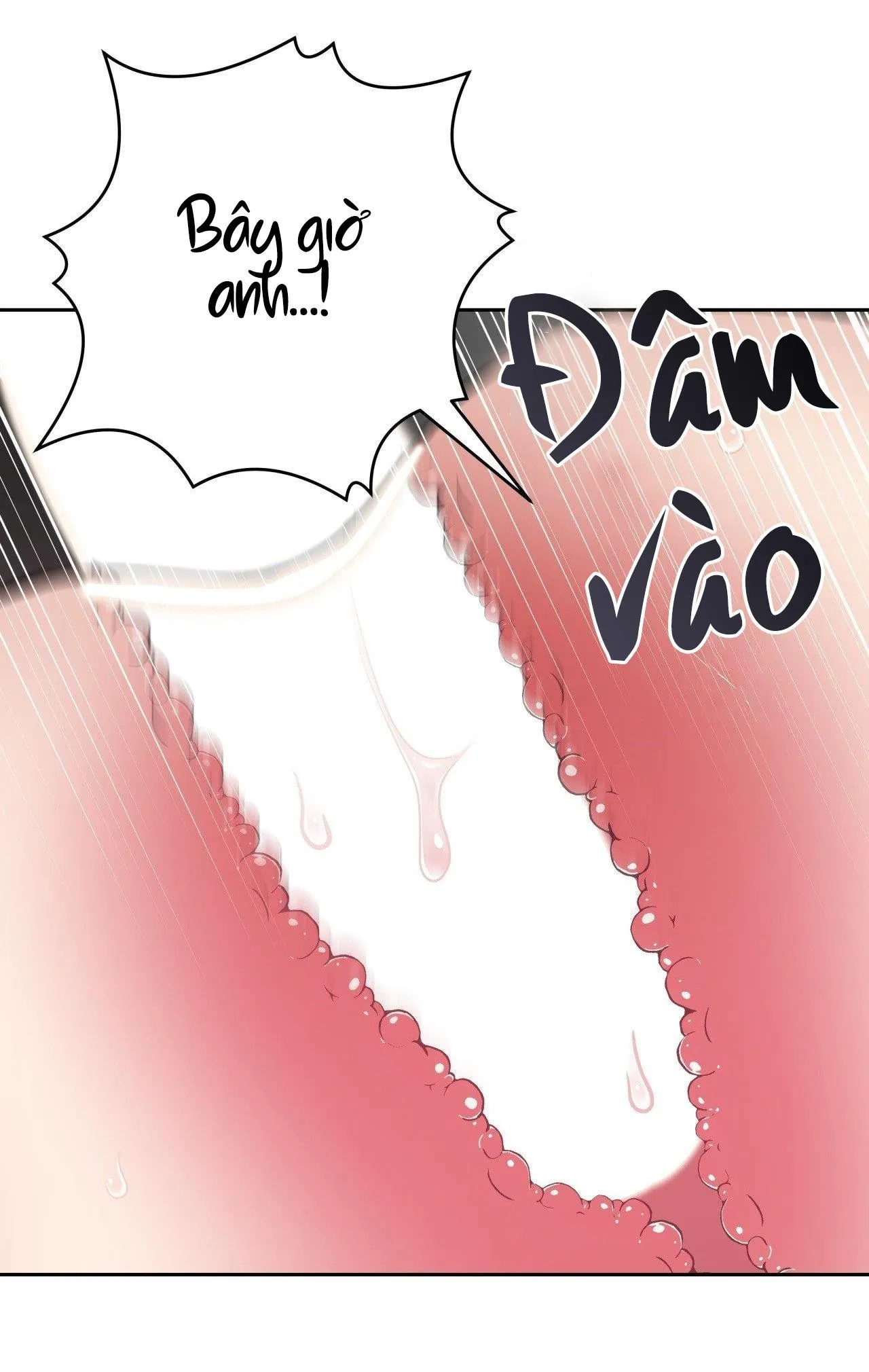 ĐIỀU 260 BỘ LUẬT HÌNH SỰ Chapter 9 Trang 42