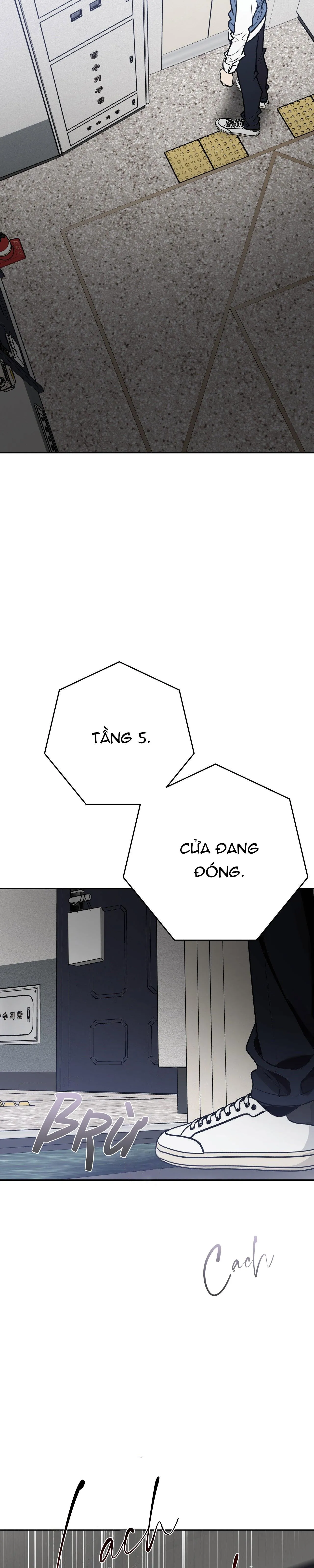 ĐIỀU 260 BỘ LUẬT HÌNH SỰ Chapter 10 Trang 7