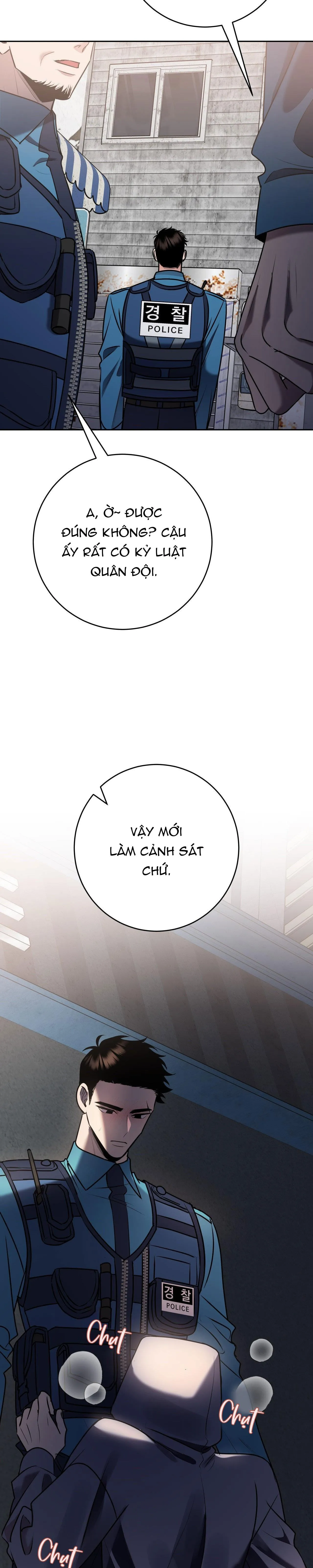 ĐIỀU 260 BỘ LUẬT HÌNH SỰ Chapter 10 Trang 14