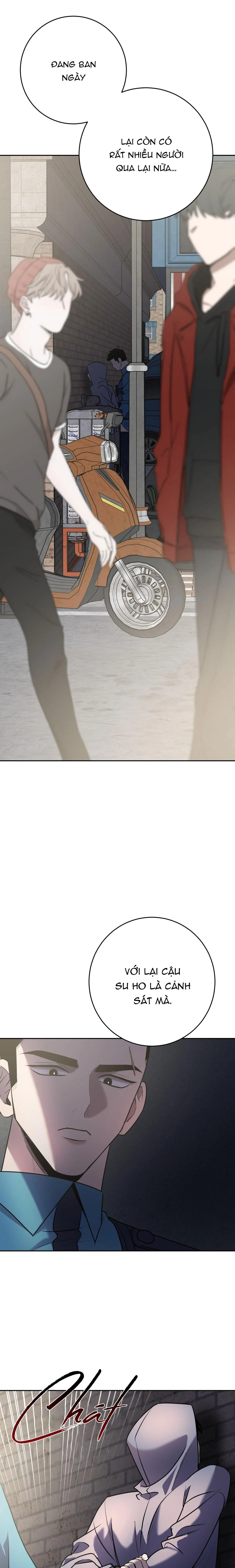 ĐIỀU 260 BỘ LUẬT HÌNH SỰ Chapter 10 Trang 18