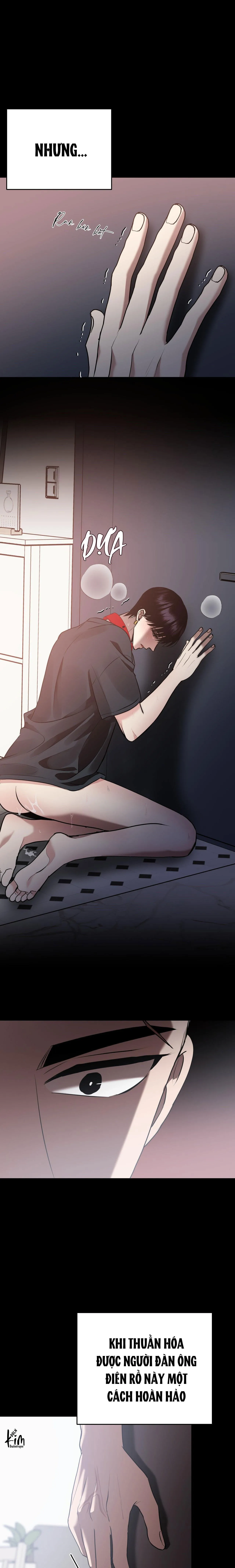 ĐIỀU 260 BỘ LUẬT HÌNH SỰ Chapter 10 Trang 24