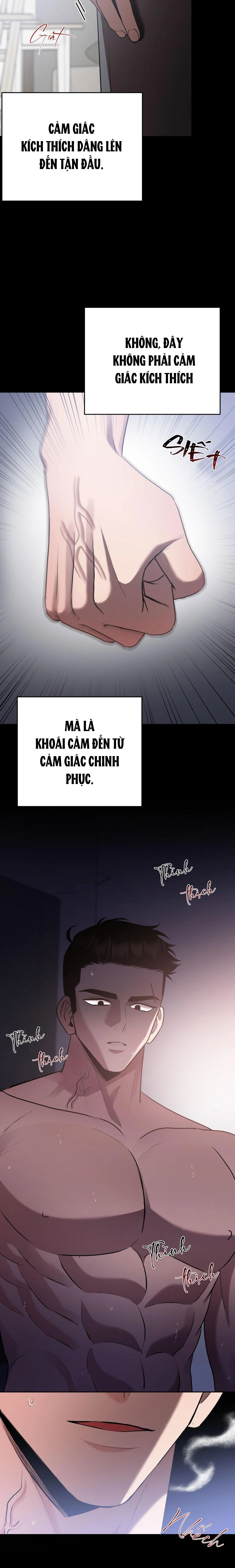 ĐIỀU 260 BỘ LUẬT HÌNH SỰ Chapter 10 Trang 25