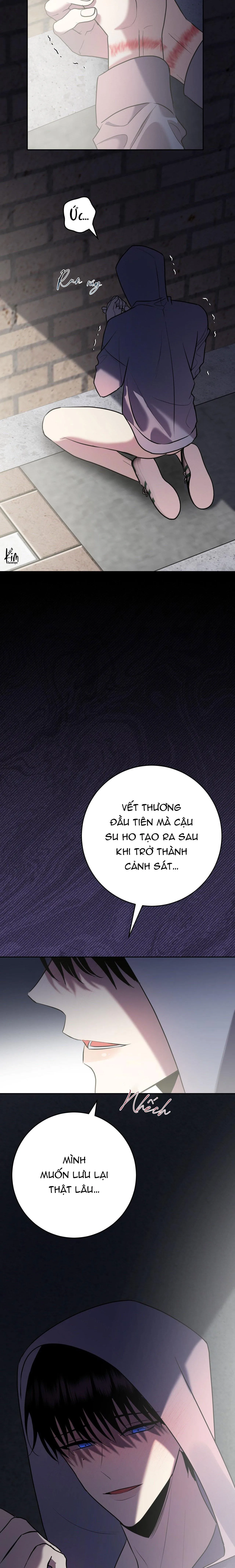 ĐIỀU 260 BỘ LUẬT HÌNH SỰ Chapter 10 Trang 29