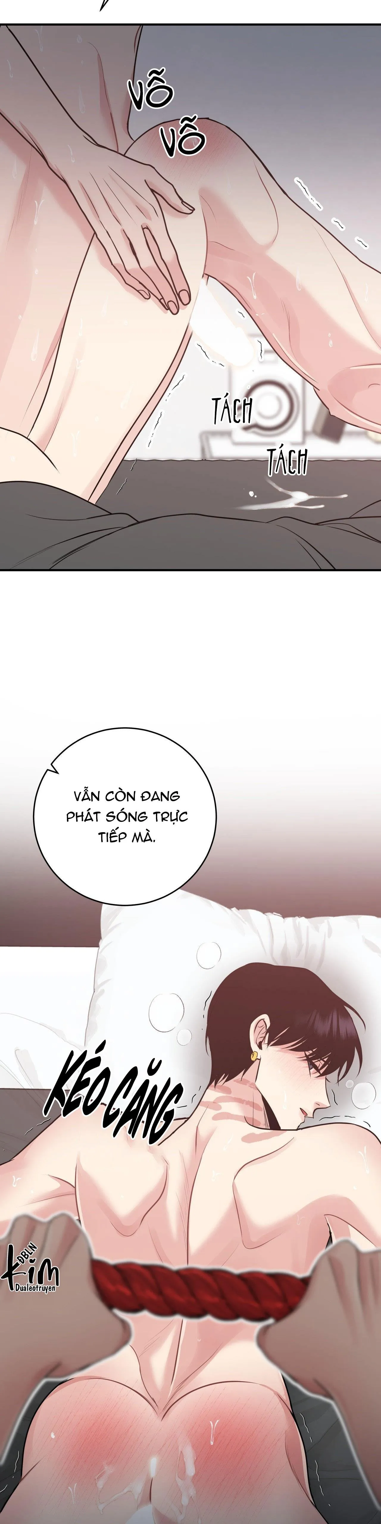 ĐIỀU 260 BỘ LUẬT HÌNH SỰ Chapter 1 Trang 29