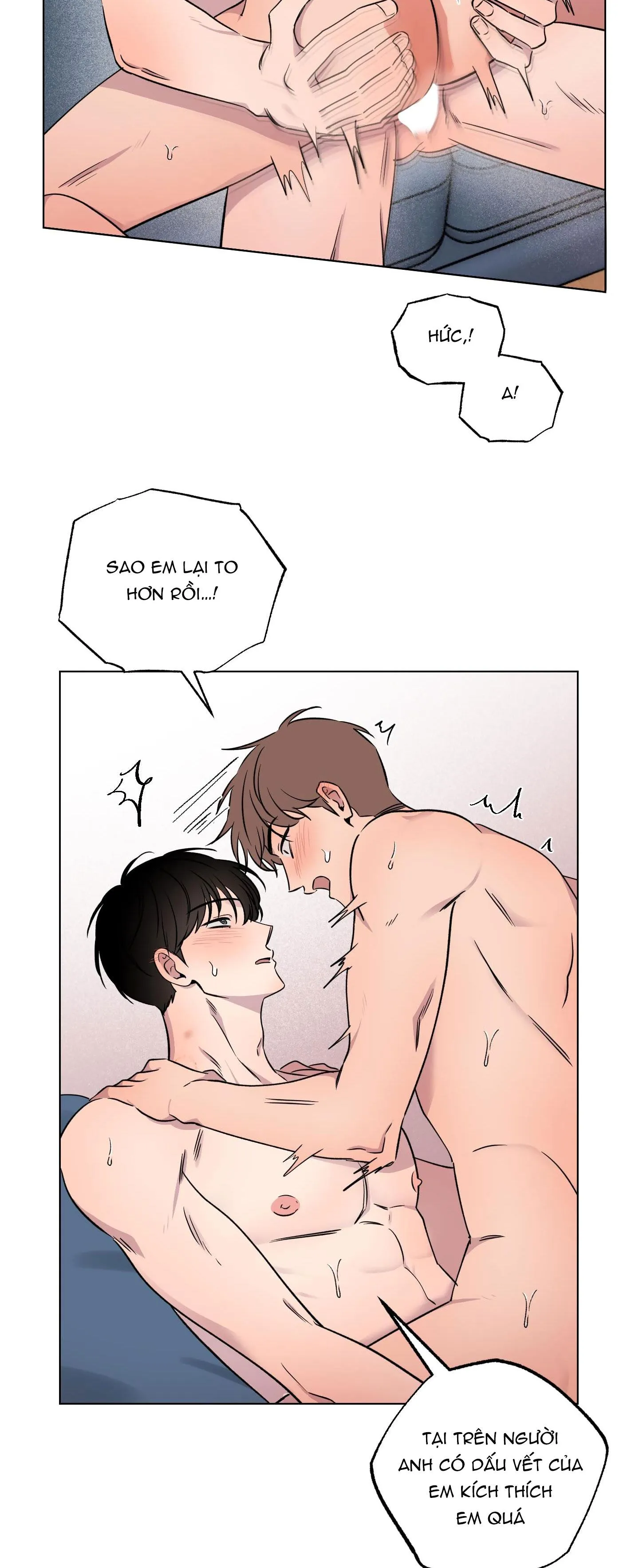 VẬN MAY BẤT NGỜ Chapter 31 Trang 12