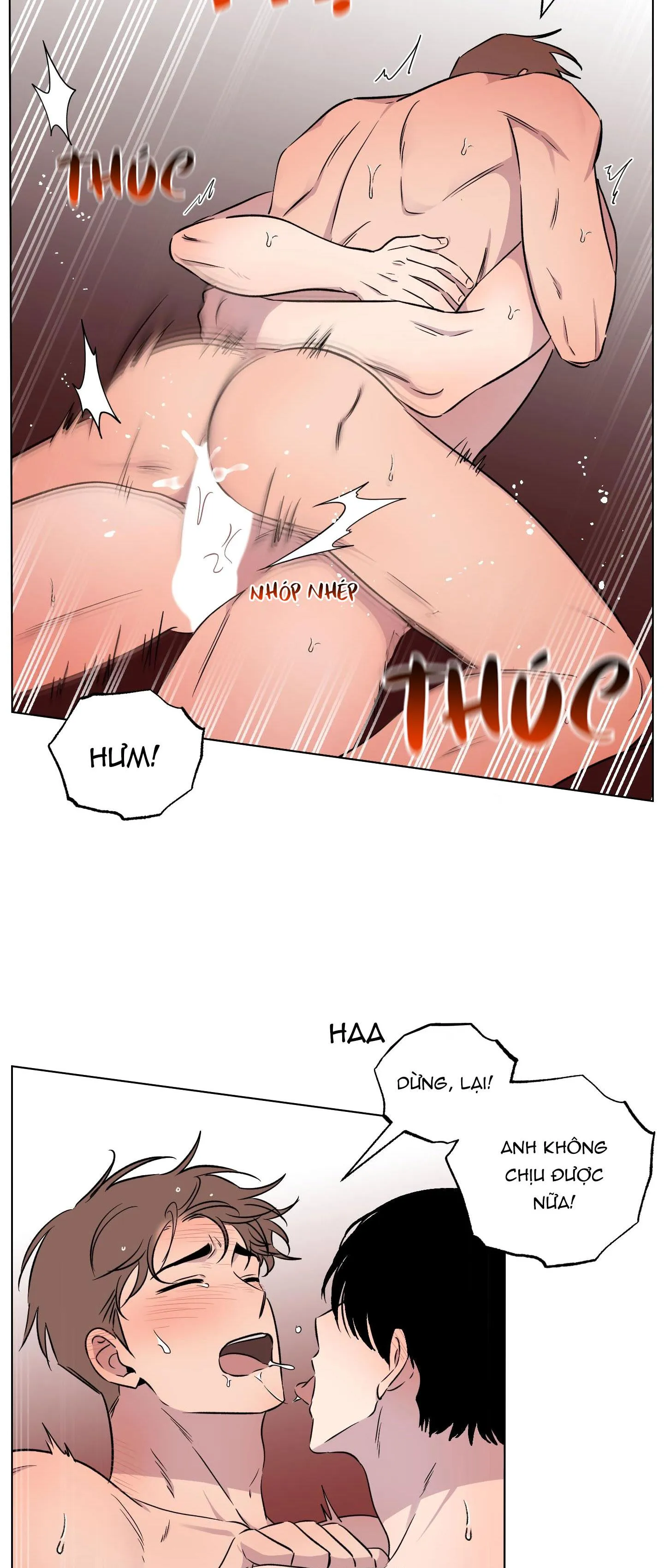 VẬN MAY BẤT NGỜ Chapter 31 Trang 16