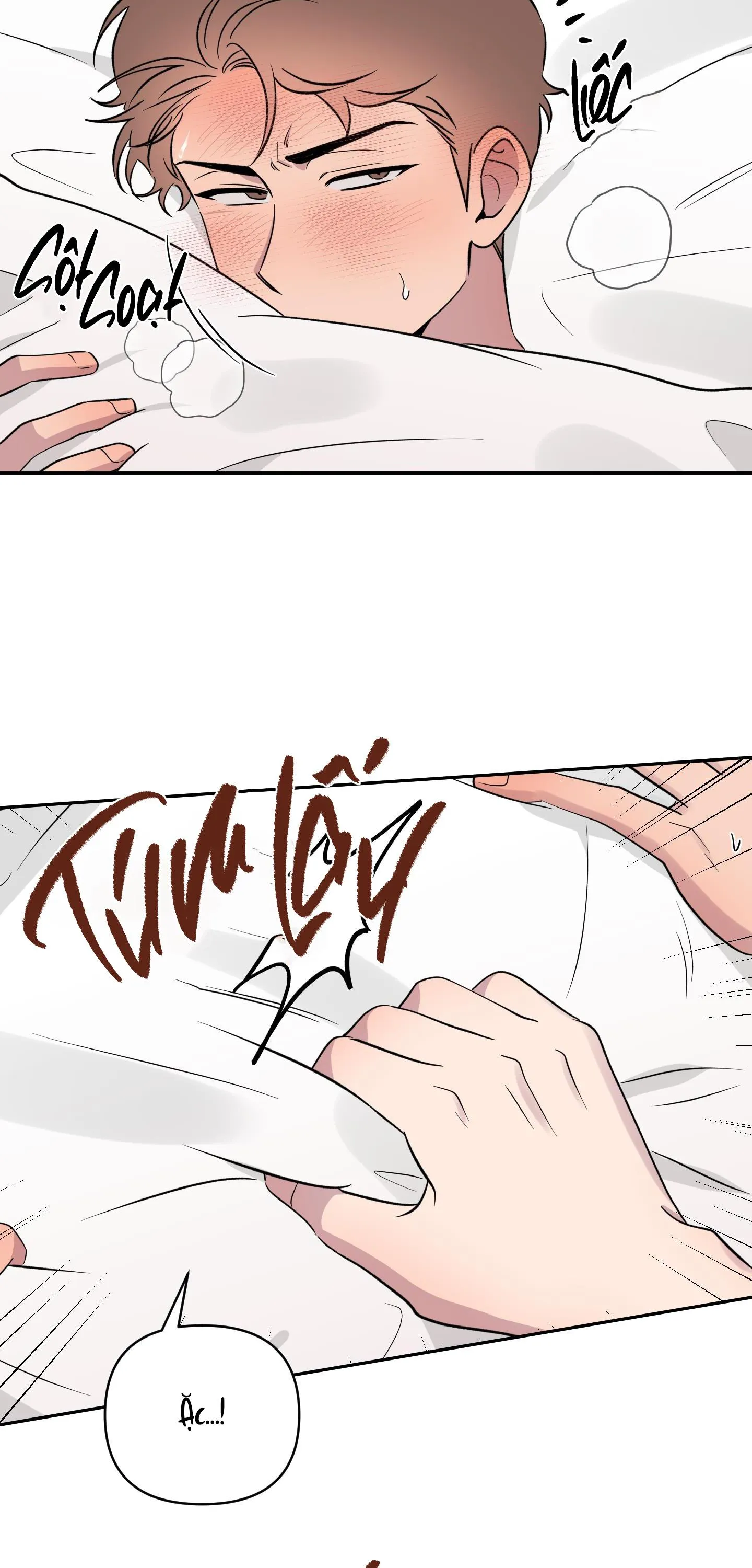 ĐIỀU MAY MẮN NHẤT CUỘC ĐỜI TÔI Chapter 23 Trang 17