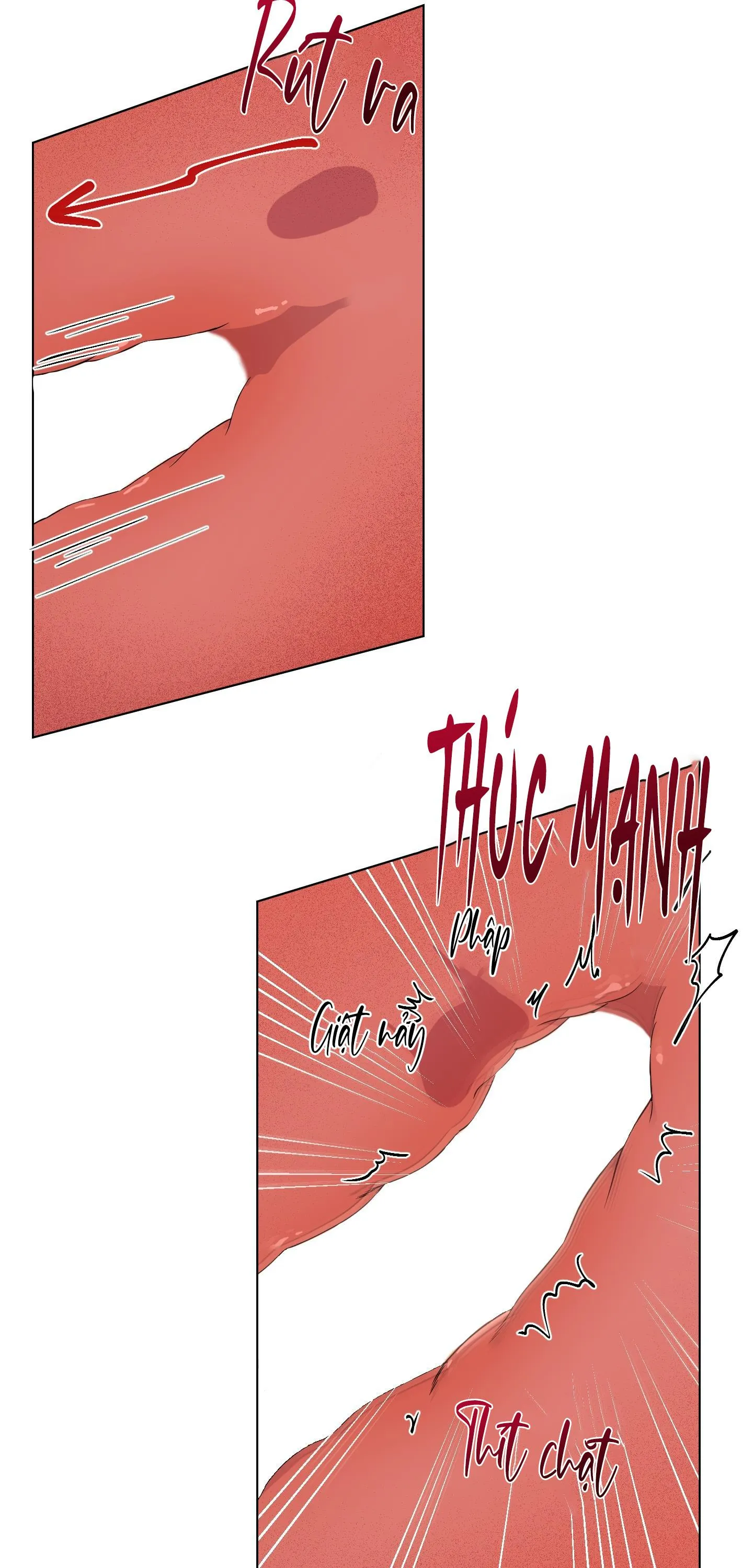 ĐIỀU MAY MẮN NHẤT CUỘC ĐỜI TÔI Chapter 30 Trang 10