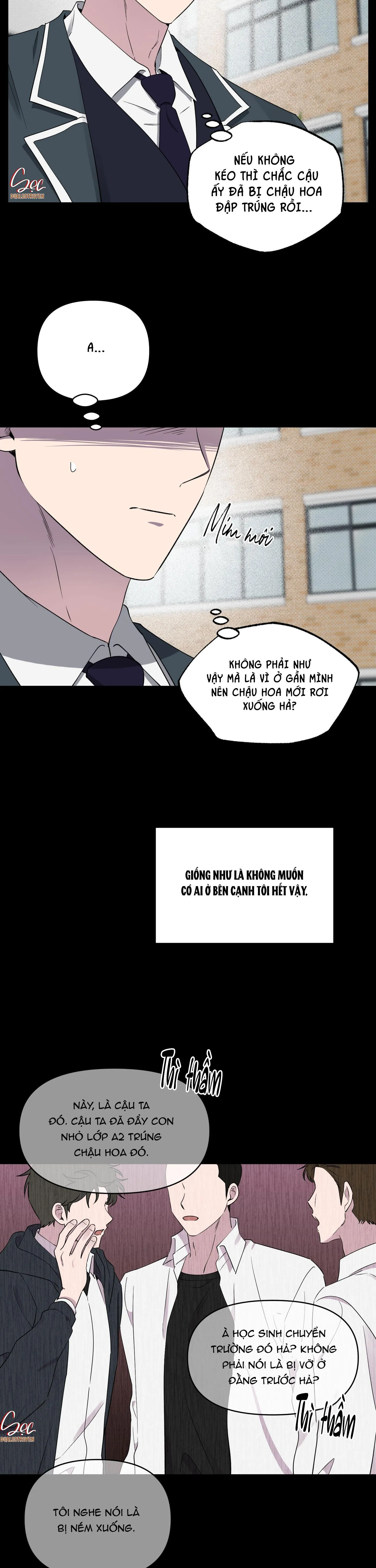 ĐIỀU MAY MẮN NHẤT CUỘC ĐỜI TÔI Chapter 40 Trang 9