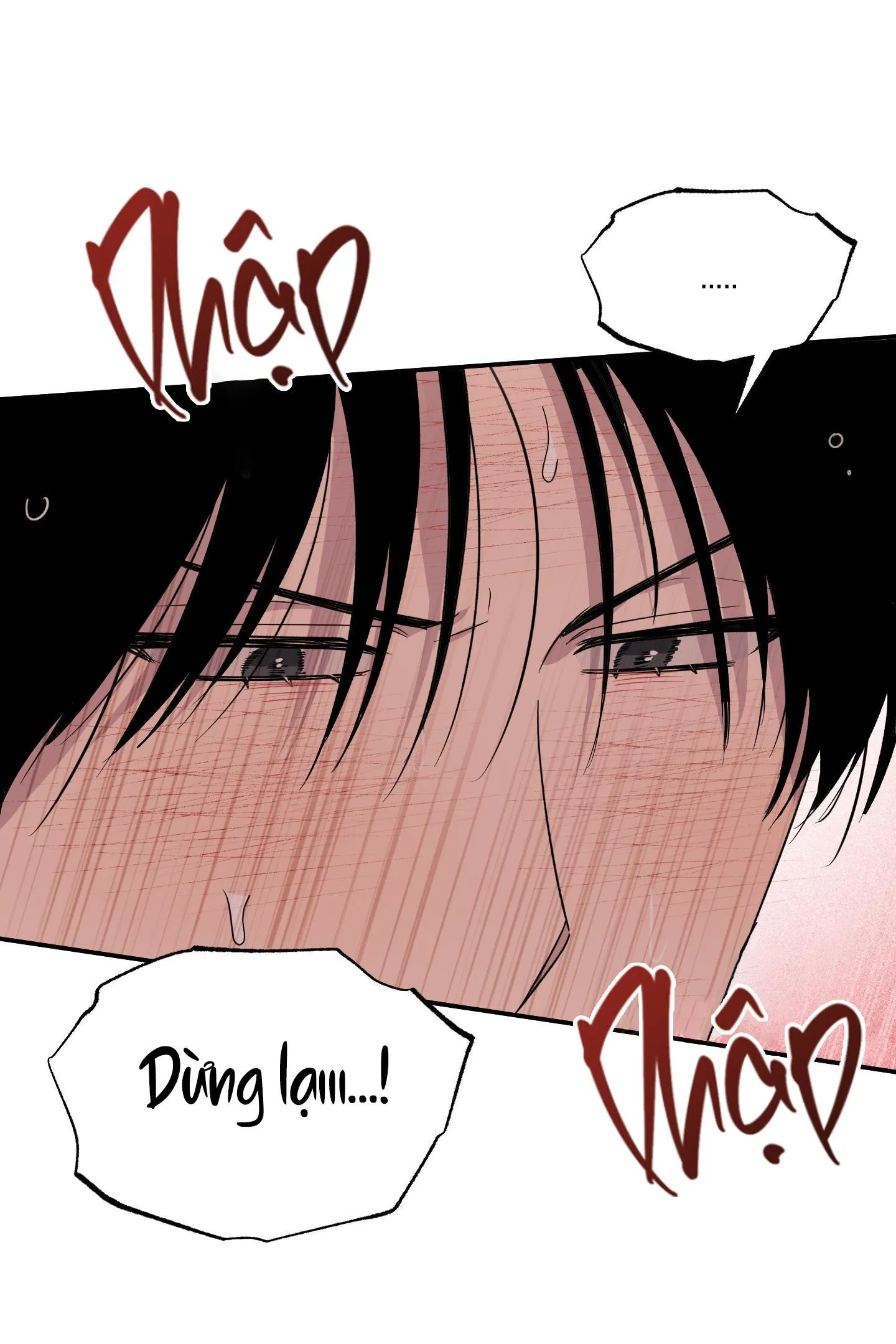 ĐIỀU MAY MẮN NHẤT CUỘC ĐỜI TÔI Chapter 50 Trang 54