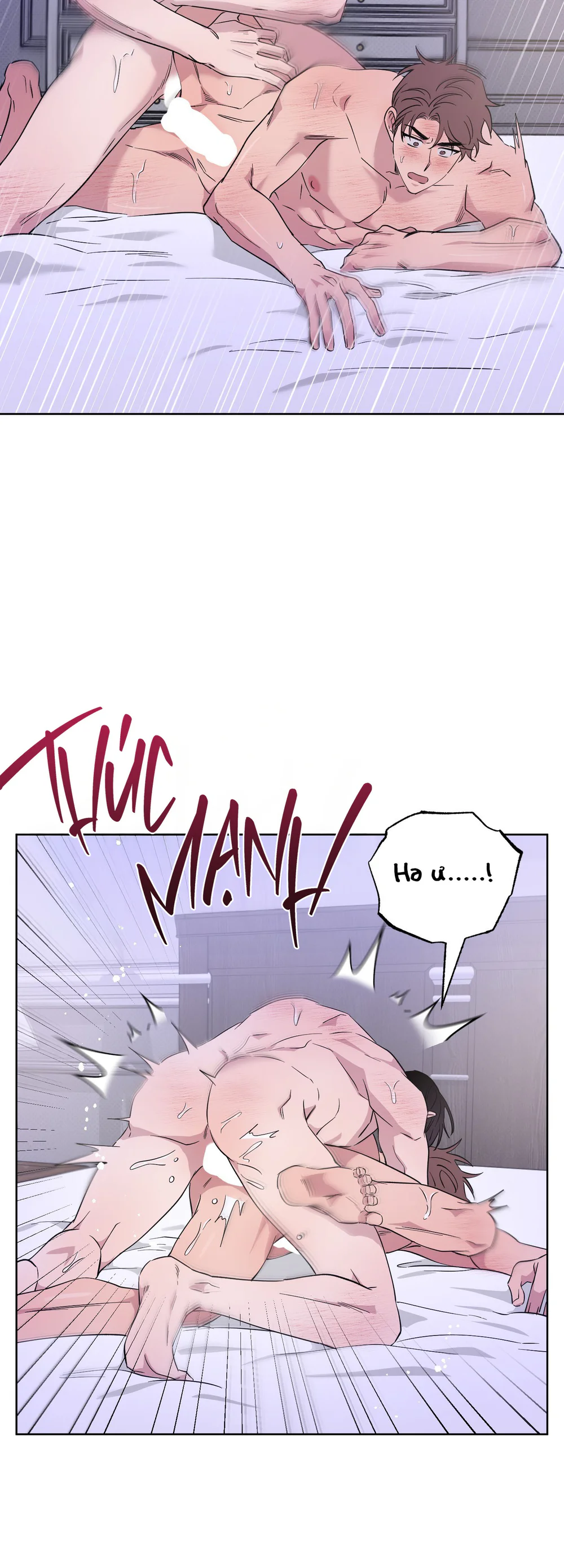 ĐIỀU MAY MẮN NHẤT CUỘC ĐỜI TÔI Chapter 70 Trang 8