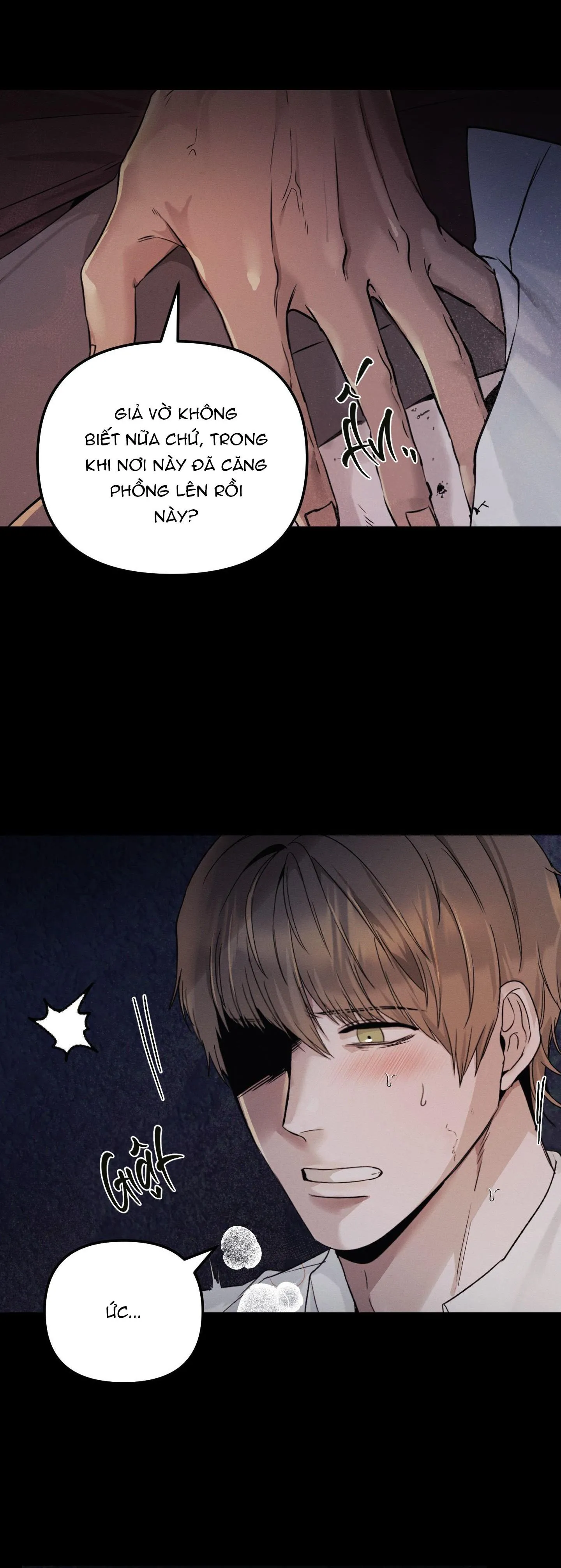 DÍNH BẪY Chapter 4 Trang 5