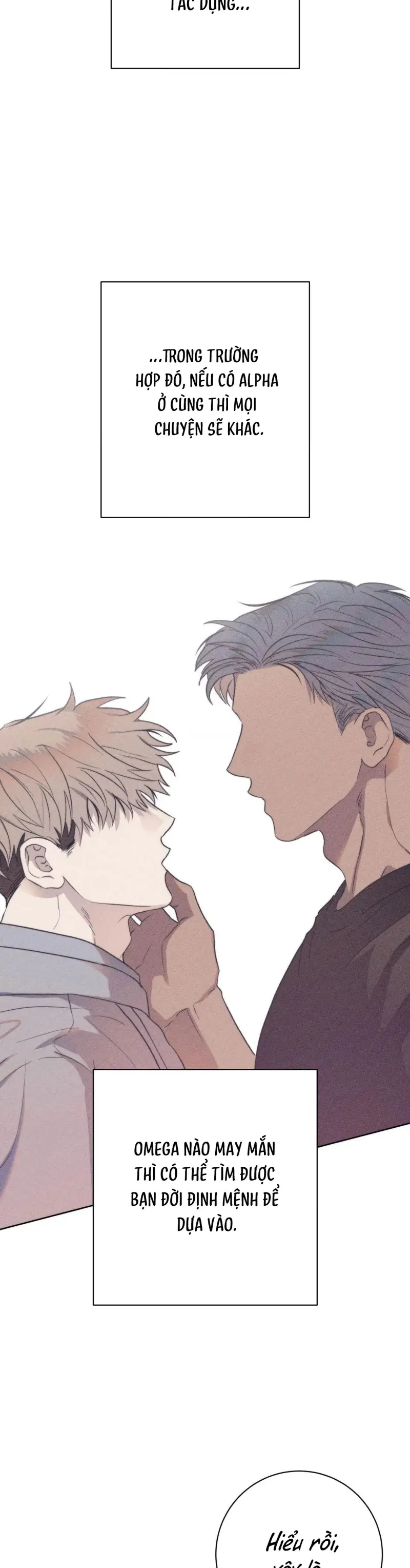 Định Mệnh Sai Lầm Chapter 11 Trang 6