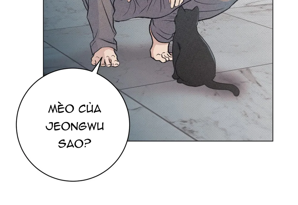 Định Mệnh Sai Lầm Chapter 14 Trang 32