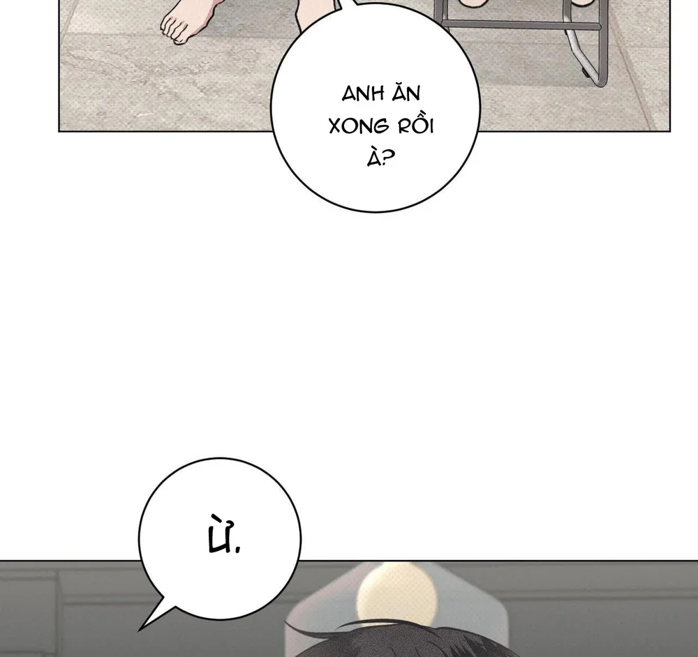 Định Mệnh Sai Lầm Chapter 15 Trang 7