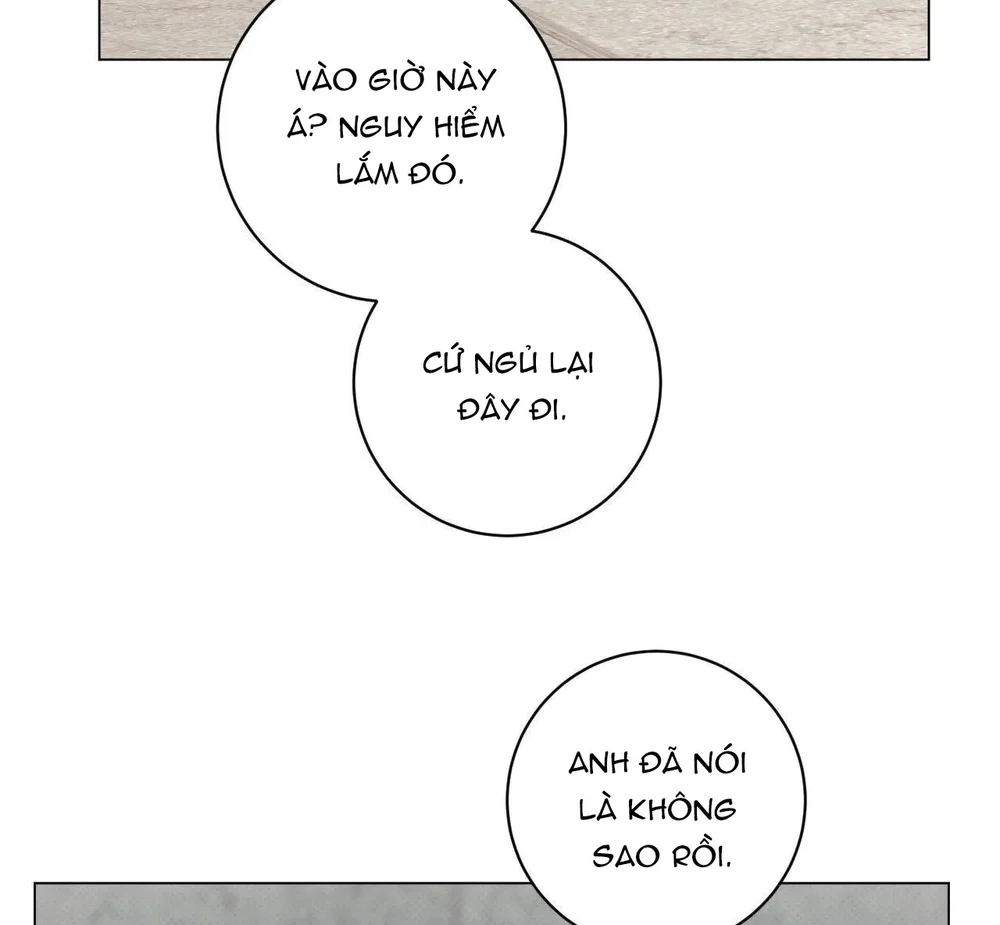 Định Mệnh Sai Lầm Chapter 15 Trang 11