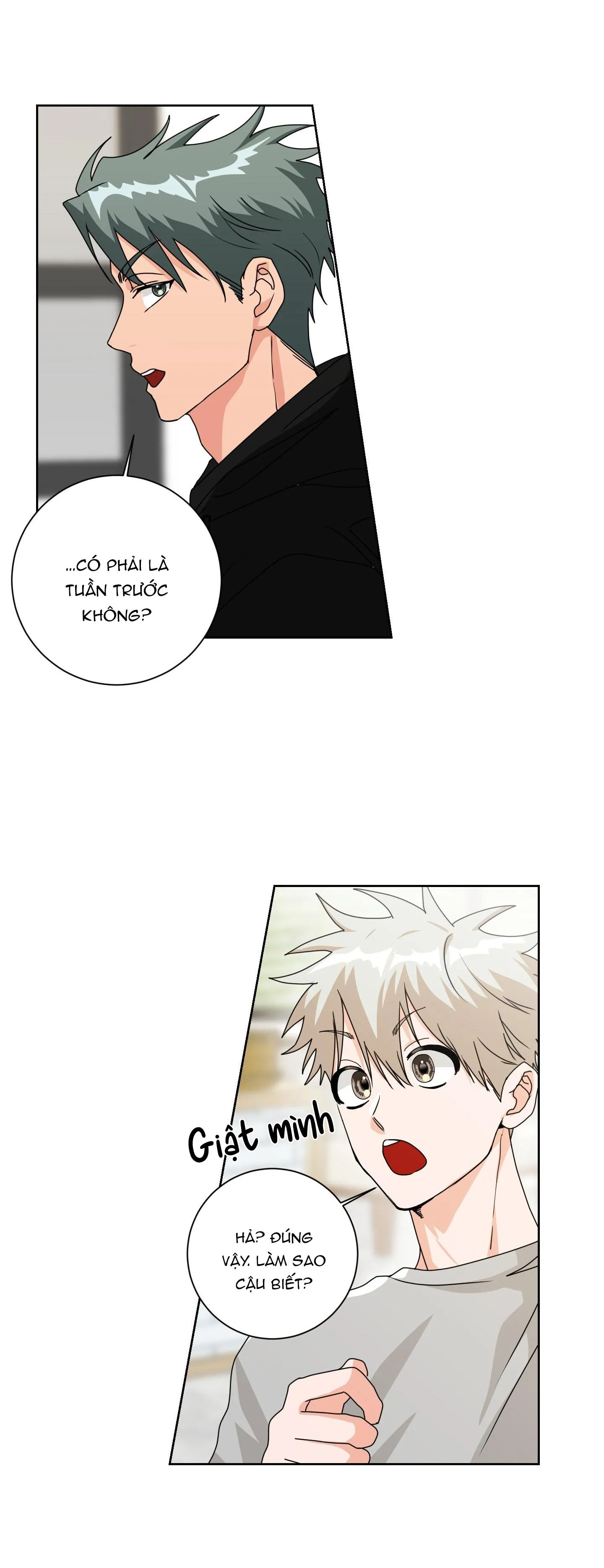 Định Mệnh Sao?! Chapter 19 Trang 7