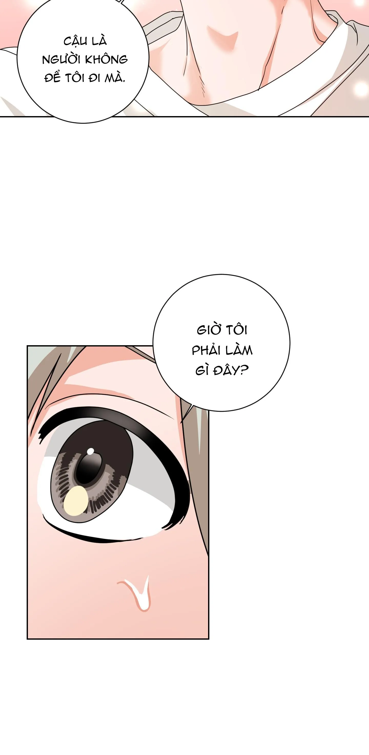 Định Mệnh Sao?! Chapter 20 Trang 11