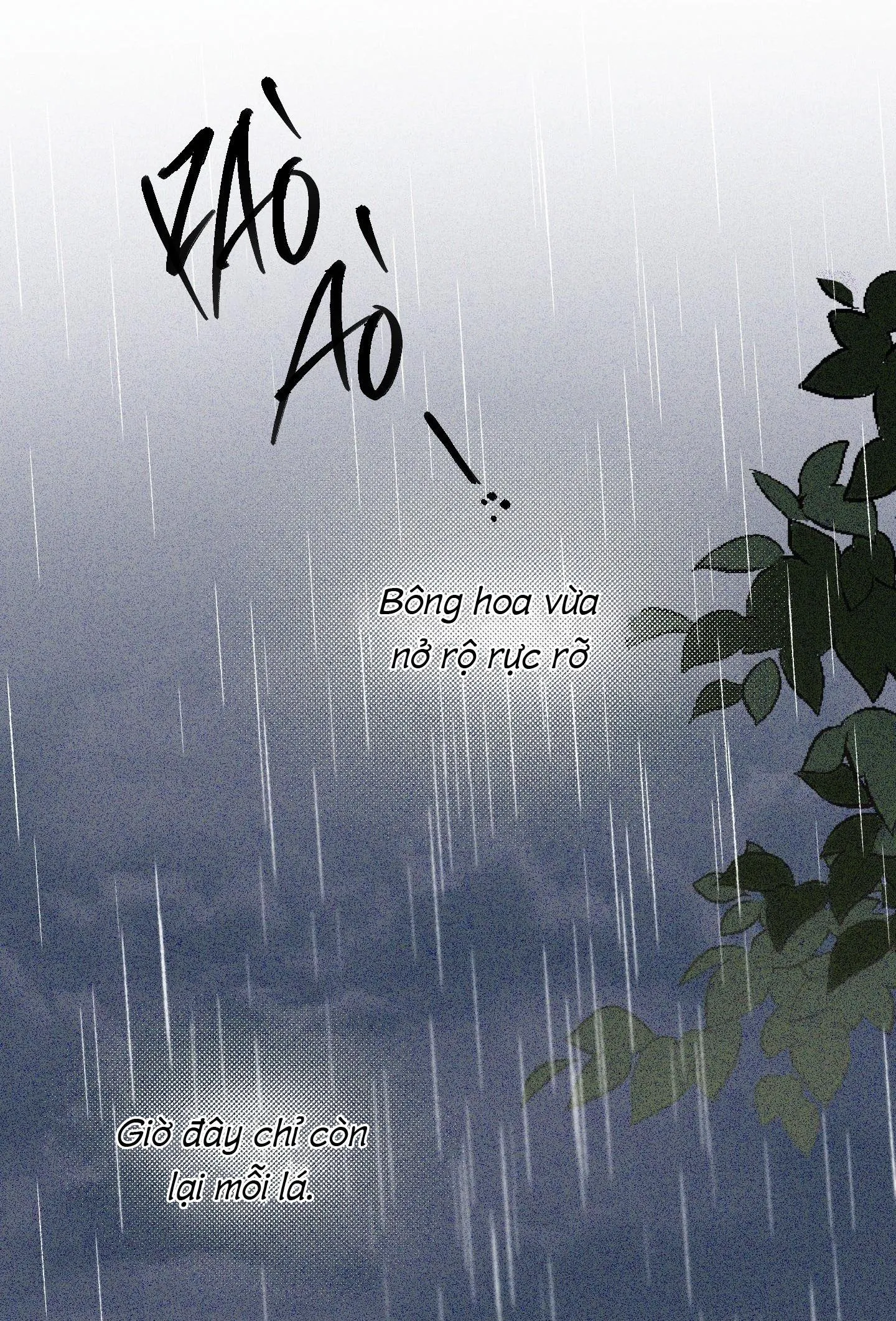 Định Tên Mối Quan Hệ Chapter 50 Trang 36