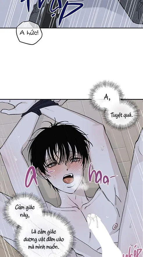 DINH THỰ Chapter 13 Trang 5