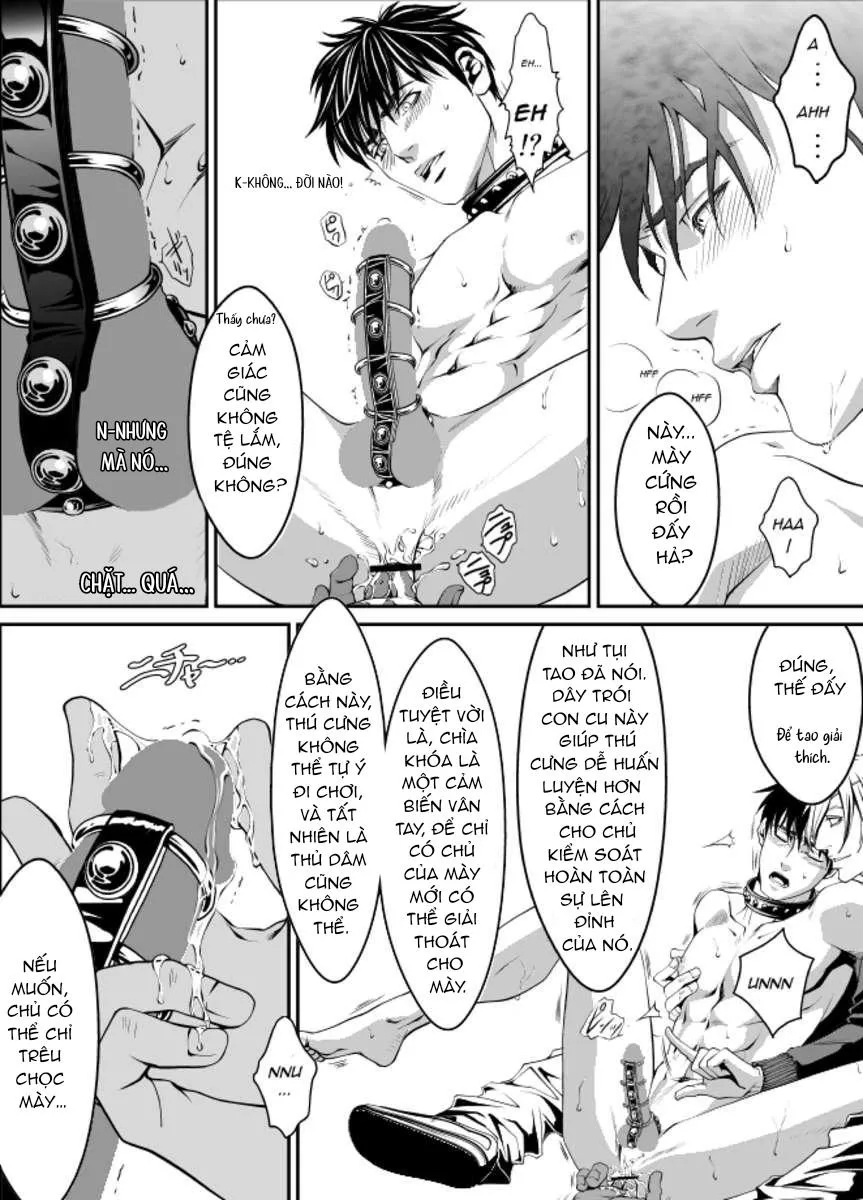 Đồ Chơi Tình Thú Chapter 21 Trang 17