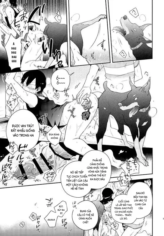 Đồ Chơi Tình Thú Chapter 25 Trang 19