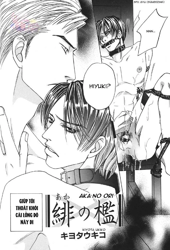 Đồ Chơi Tình Thú Chapter 1 Trang 3