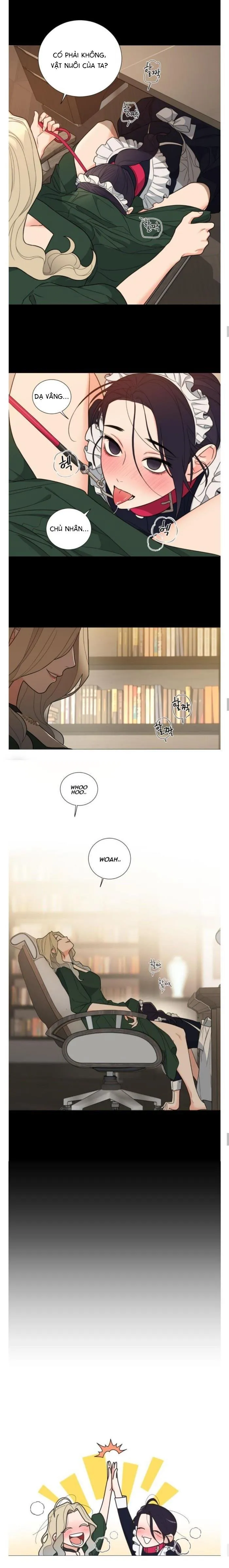 ĐỒ CHƠI VÀ QUÀ Chapter 11 Trang 11