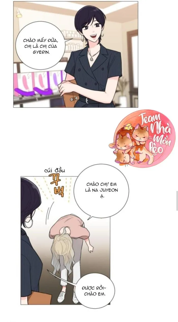 ĐỒ CHƠI VÀ QUÀ Chapter 14 Trang 17