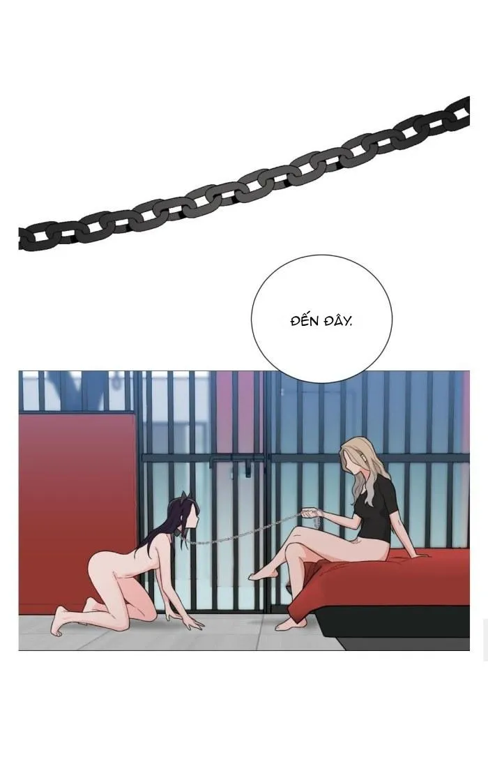 ĐỒ CHƠI VÀ QUÀ Chapter 16 Trang 21