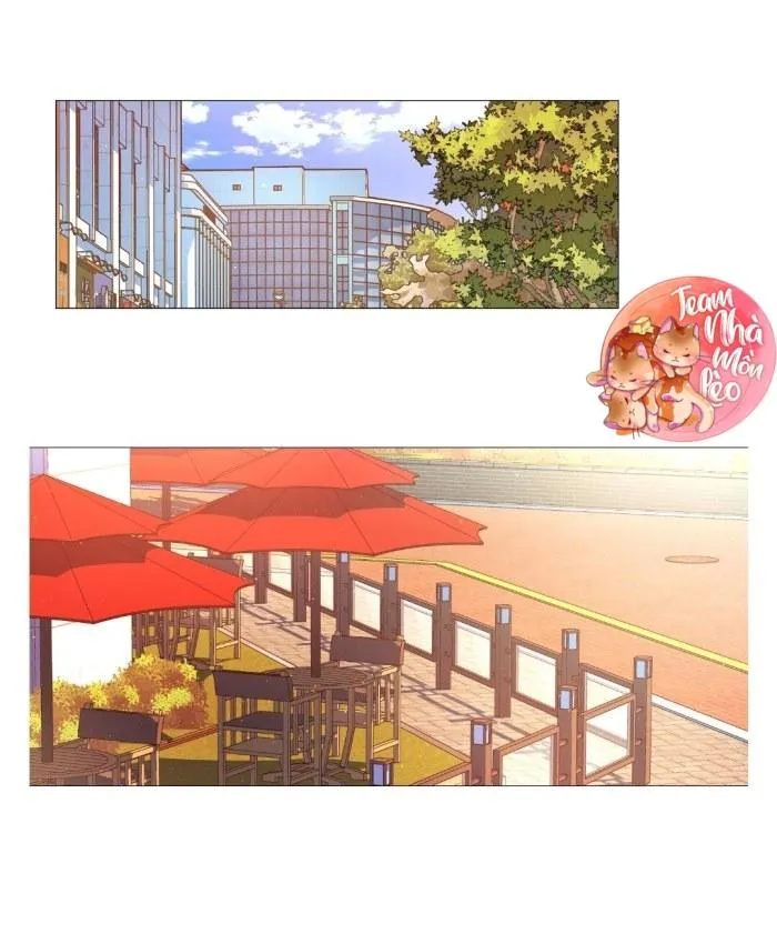 ĐỒ CHƠI VÀ QUÀ Chapter 17 Trang 25