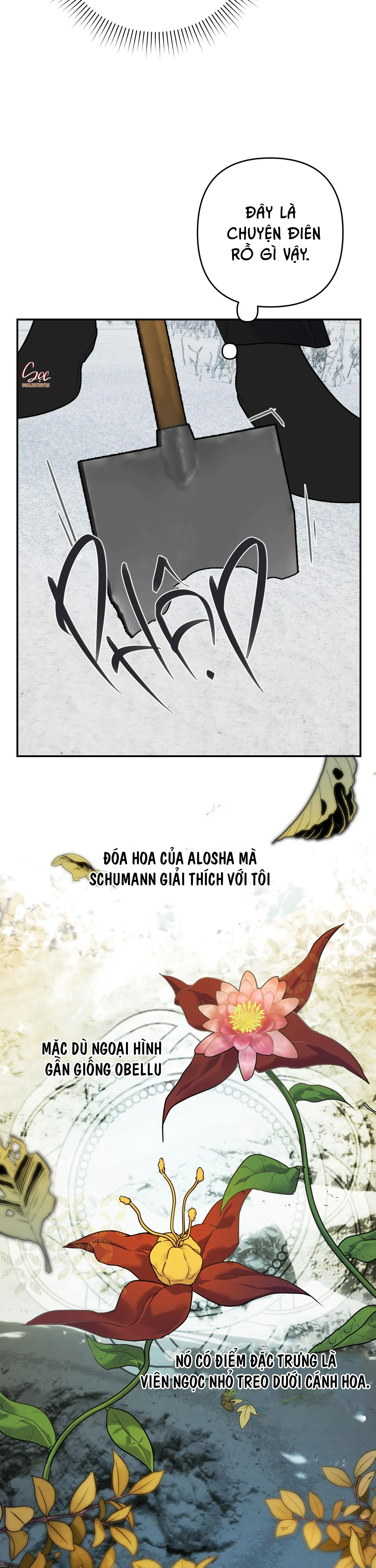 ĐÓA HOA CỦA ALOSHA Chapter 21 Trang 18