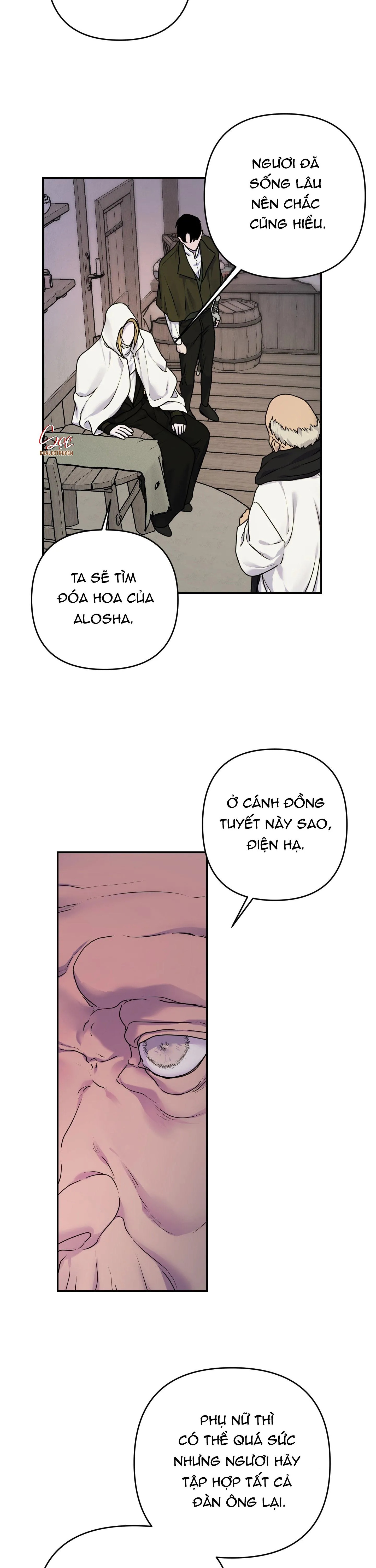 ĐÓA HOA CỦA ALOSHA Chapter 22 Trang 5