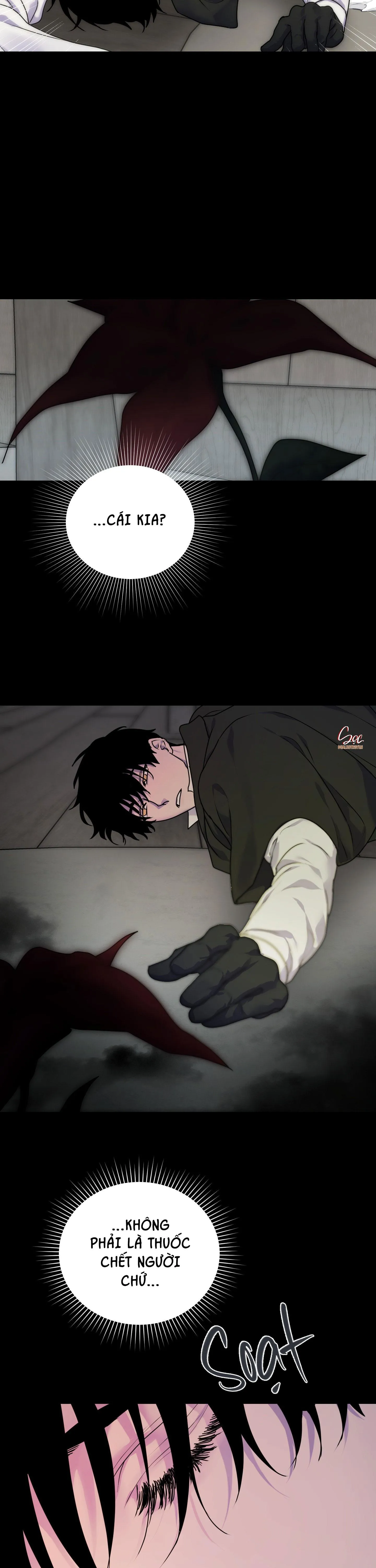 ĐÓA HOA CỦA ALOSHA Chapter 22 Trang 18