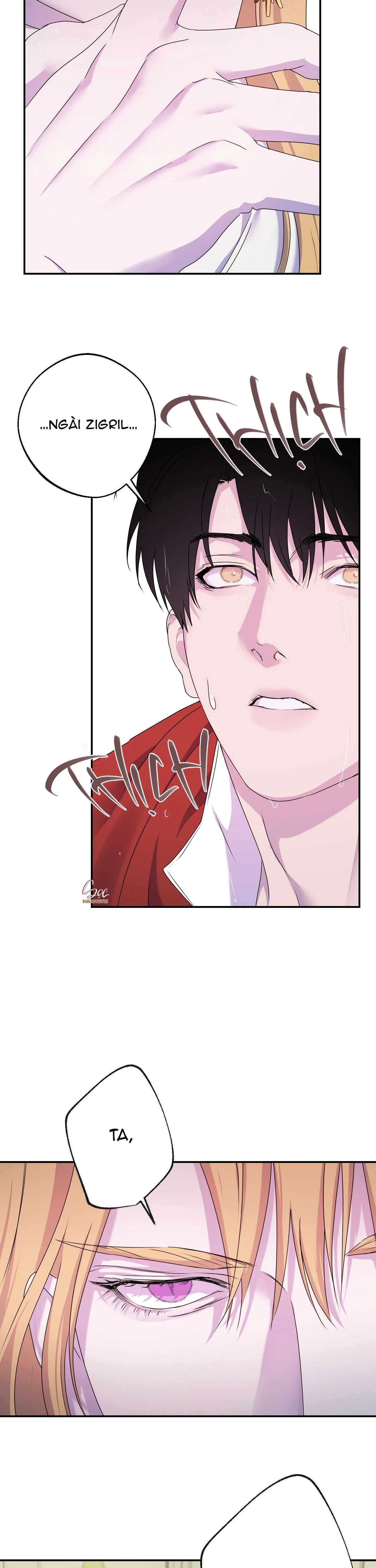 ĐÓA HOA CỦA ALOSHA Chapter 33 Trang 15