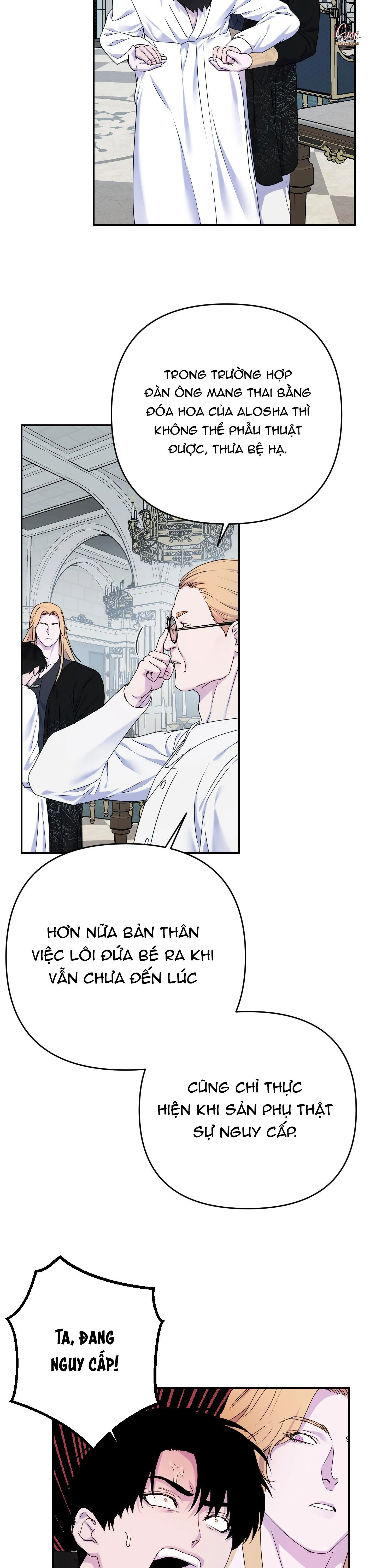 ĐÓA HOA CỦA ALOSHA Chapter 35 Trang 9