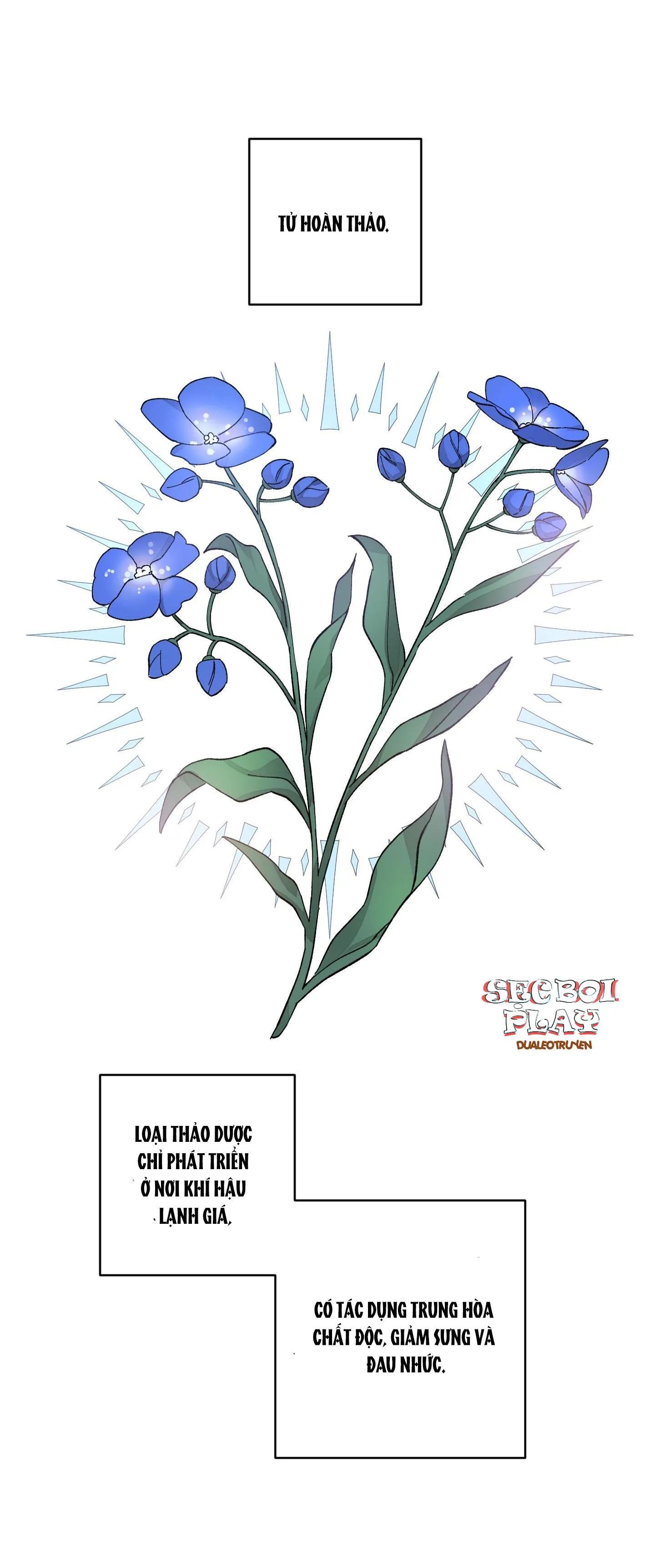 Đóa hoa của mặt trời Chapter 19 Trang 31