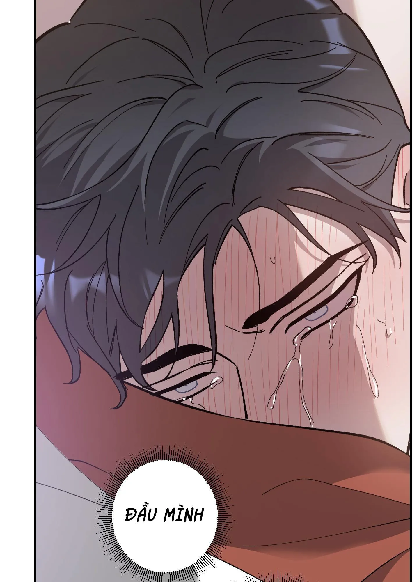Đóa hoa của mặt trời Chapter 24 Trang 11