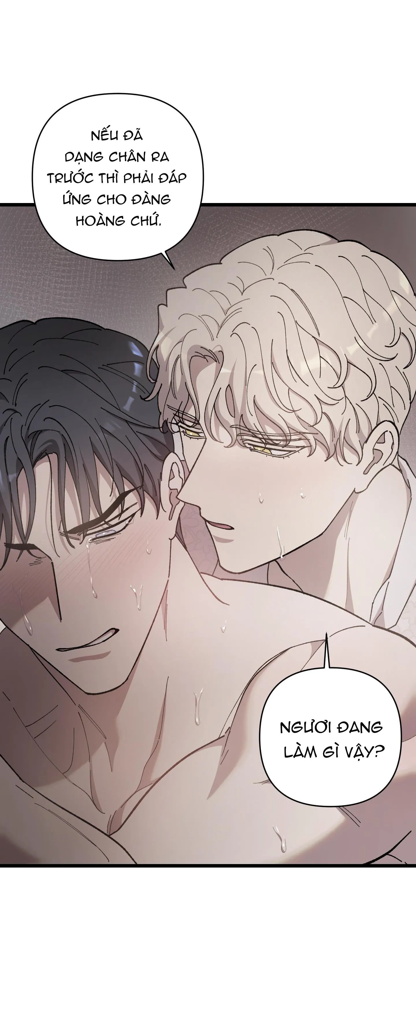 Đóa hoa của mặt trời Chapter 70 Trang 14