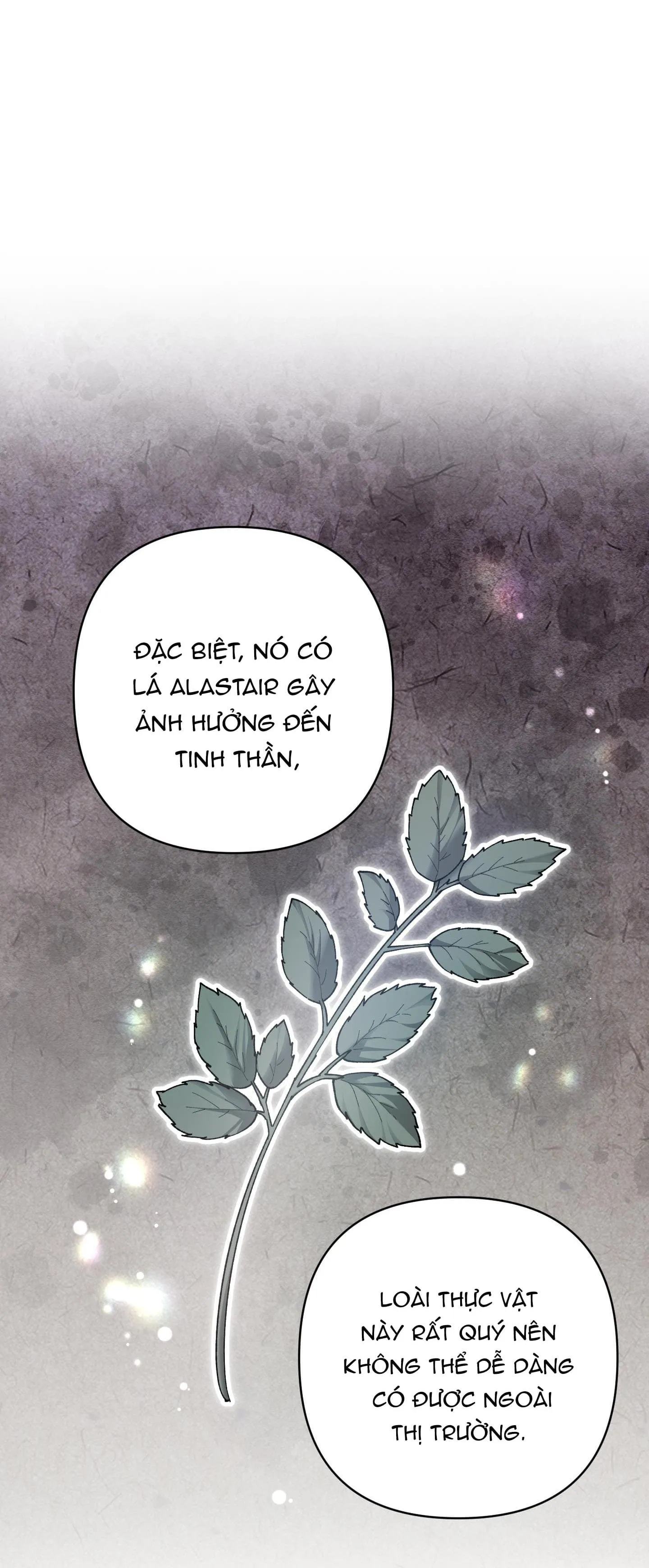 Đóa hoa của mặt trời Chapter 74 Trang 14