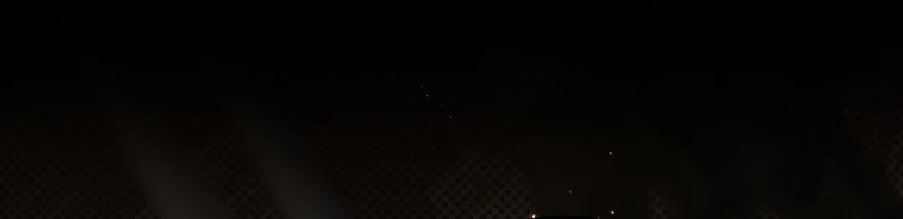 ĐOÁ HOA GIỮA ĐÊM TRẮNG Chapter 12 Trang 13