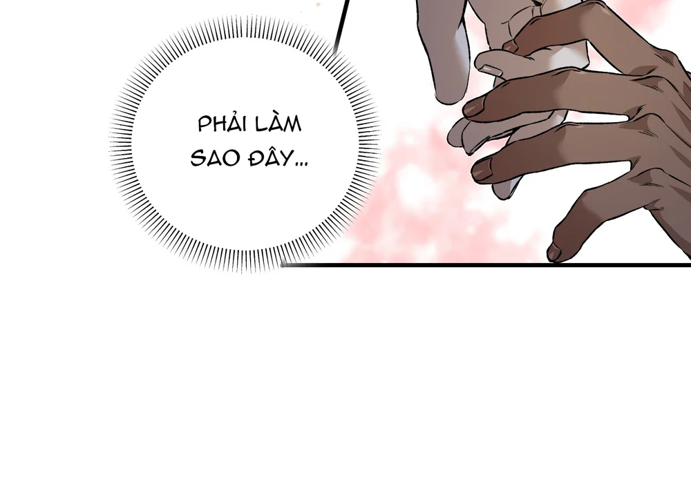 ĐOÁ HOA GIỮA ĐÊM TRẮNG Chapter 15 Trang 21