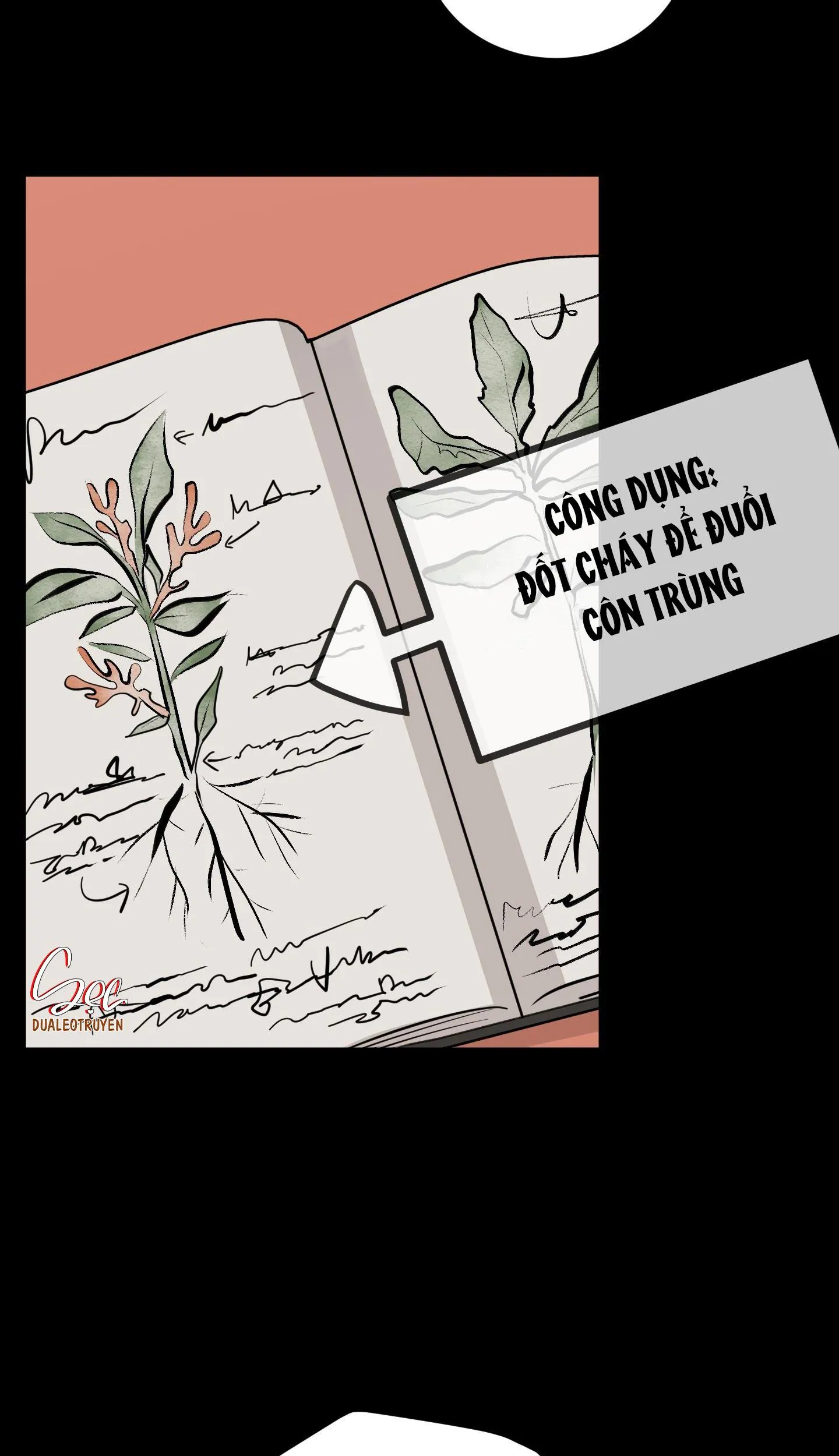 ĐÓA HOA KHÔNG TÊN Chapter 2 Trang 56