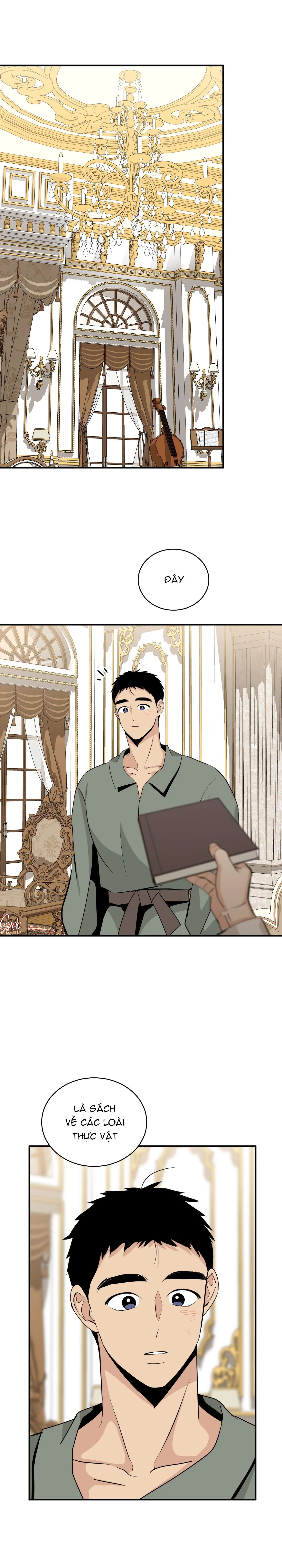 ĐÓA HOA KHÔNG TÊN Chapter 23 Trang 8