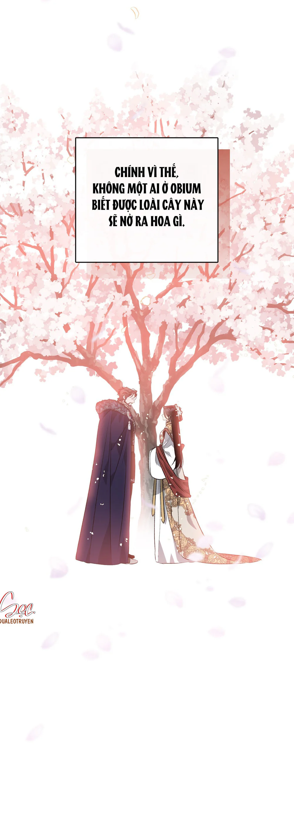 ĐÓA HOA NỞ TRONG ĐÊM TRẮNG Chapter 13 Trang 10