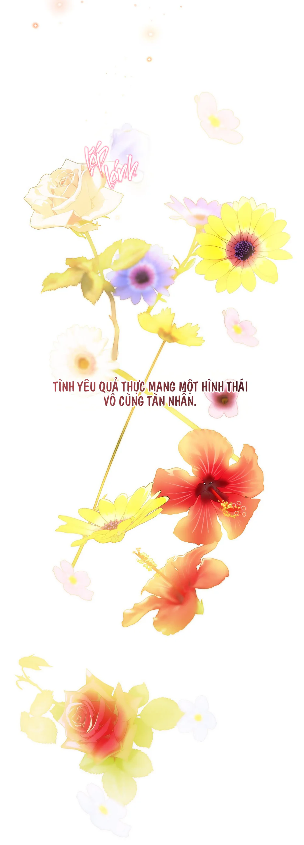 ĐÓA HOA NỞ TRONG ĐÊM TRẮNG Chapter 13 Trang 60