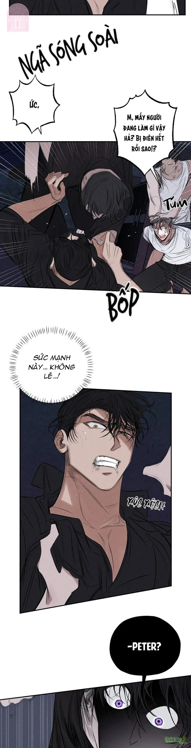 Đóa hoa tội lỗi Chapter 38 Trang 12